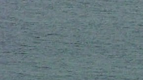 Vieques, Puerto Rico