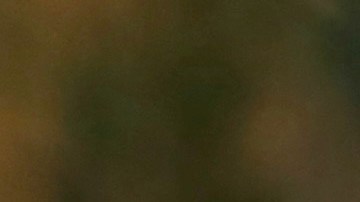 Zac Efron participando en un show.