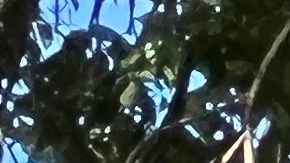 El DOT anunció mejoras de visibilidad en intersecciones viales cerca de escuelas