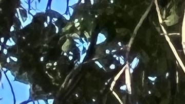 El DOT anunció mejoras de visibilidad en intersecciones viales cerca de escuelas