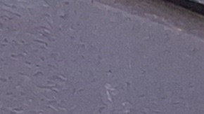 El rostro más duro de la crisis habitacional de NYC, se percibe casi que en cualquier cuadra.