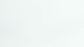 En solo cinco días de trabajo, los 'cazafantasmas' sacaron de las calles 295 autos ilegales.