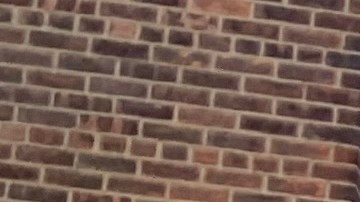 32% de residentes de NYCHA deben renta