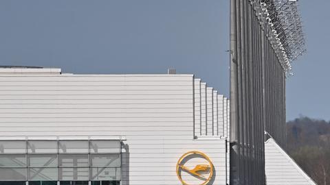 Socios del grupo Lufthansa también suspenderán vuelos.