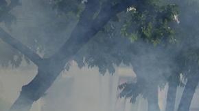 Pidieron a las autoridades venezolanas que respeten sin restricciones "las normas internacionales sobre el debido proceso y las condiciones de detención".