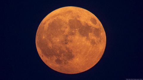 lUNA