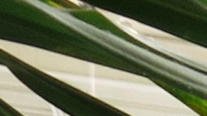 Inscripción de votantes en Puerto Rico CEE