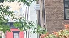 Divisiones por uso de celulares en las escuelas de NYC