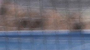 El técnico de la selección mexicana de fútbol Javier Aguirre dirige un entrenamiento, previo al amistoso contra Nueva Zelanda.