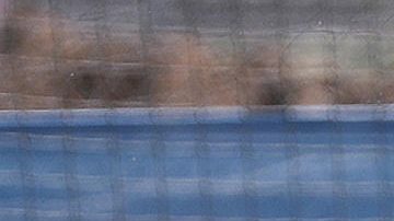 El técnico de la selección mexicana de fútbol Javier Aguirre dirige un entrenamiento, previo al amistoso contra Nueva Zelanda.