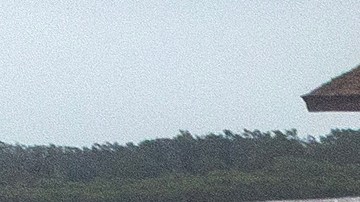 Marea por huracán Helene en Florida