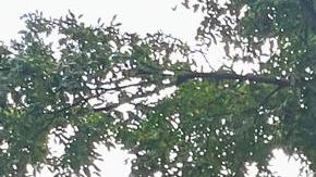 Fotografía del 19 de septiembre de 2024 de un migrante venezolano junto a su motocicleta durante una entrevista con EFE, en Washington (Estados Unidos).