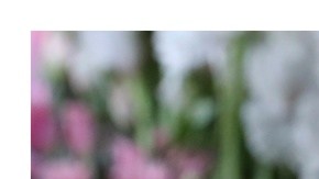 Más de 20 muertos dejó nueva ola de explosiones con wlakie-talkies en Líbano. Un día después de detonaciones de bíperes.