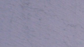 Casi 100,000 personas se refugian tras incendio de una planta química en Georgia