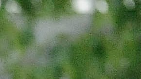 El Departamento de Educación, ha propuesto eliminar la forma cómo se mide el ausentismo crónico./AP