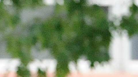 El Departamento de Educación, ha propuesto eliminar la forma cómo se mide el ausentismo crónico./AP
