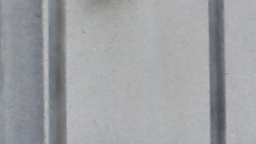 Los oficiales bomberiles expresaron que varias personas habían enfermado por los vapores de gas.