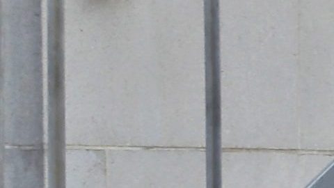 Los oficiales bomberiles expresaron que varias personas habían enfermado por los vapores de gas.