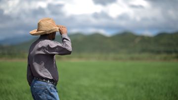 Trabajador agrícola