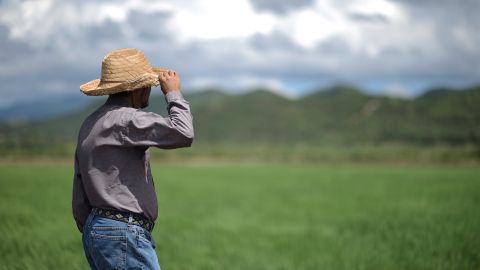 Trabajador agrícola