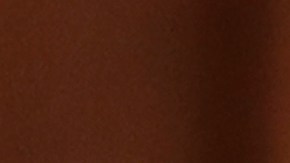 Representante de NY en el Congreso, Nydia Velázquez