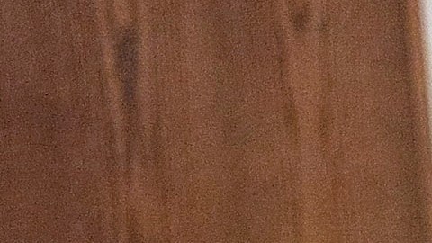 Universitarios de origen puertorriqueño