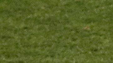 Raphael Varane durante el Mundial de Rusia 2018.