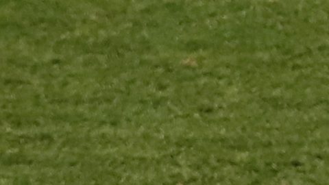 Raphael Varane durante el Mundial de Rusia 2018.