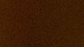 Representante demócrata de origen boricua Nydia Velázquez