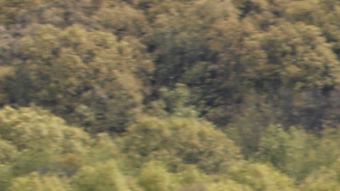 Avioneta se estrella contra zona residencial en Oregon y deja tres muertos