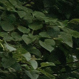 Hasta este momento, no se han hecho arrestos mientras las averiguaciones siguen.