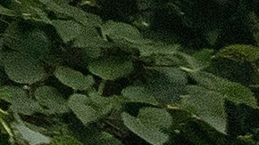 Hasta este momento, no se han hecho arrestos mientras las averiguaciones siguen.