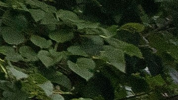 Hasta este momento, no se han hecho arrestos mientras las averiguaciones siguen.