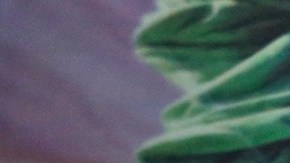 USCIS realiza ajustes en oficinas en Queens.