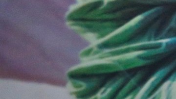 USCIS realiza ajustes en oficinas en Queens.