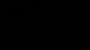 Ritchie Torres representa al Distrito 15 de NY en el Congreso