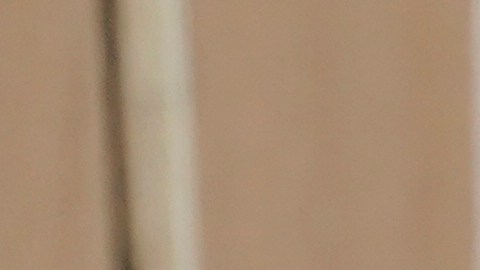 La importancia del voto latino en EE.UU.