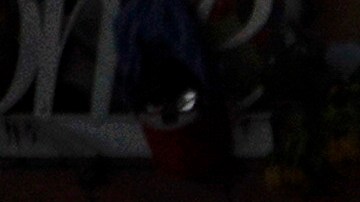 Exjefe de la policía escolar de Uvalde se presenta por primera vez en el tribunal