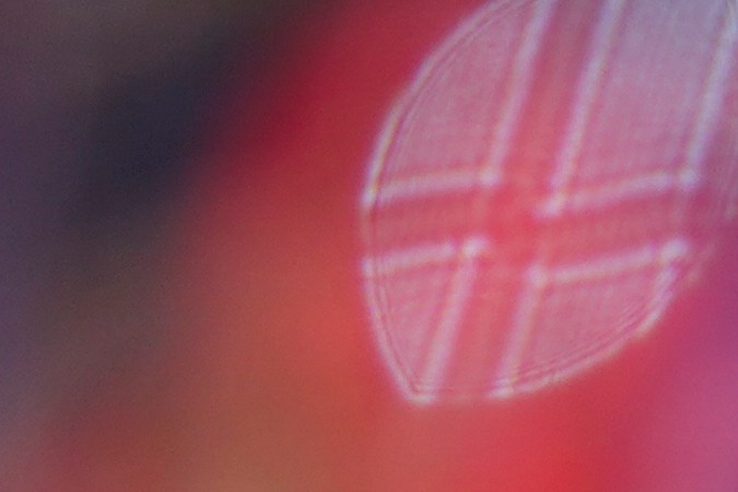 El exjugador de los Filis de Filadelfia, Pete Rose.