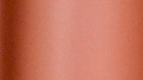 La senadora estatal Jessica Ramos declara su candidatura a la Alcaldía de NY.