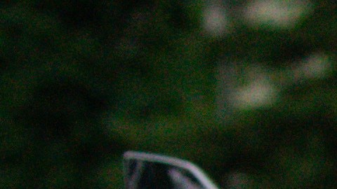 El Médico Forense del Condado de Suffolk todavía no ha dado a conocer los resultados de la autopsia que confirman la causa oficial de su muerte.