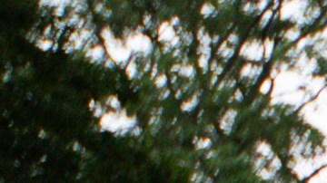 Los oficiales, incluyendo el laboratorio y la unidad K-9, hicieron perímetro en la zona y bloqueando el lugar con cinta policial.