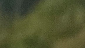 EE.UU. ha criticado la política de puertas abiertas que aplica el Gobierno de Daniel Ortega para facilitar la migración de forma irregular hacia su país.