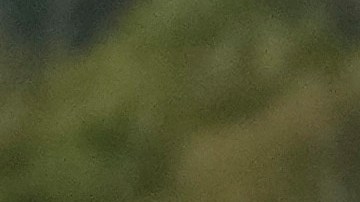 EE.UU. ha criticado la política de puertas abiertas que aplica el Gobierno de Daniel Ortega para facilitar la migración de forma irregular hacia su país.