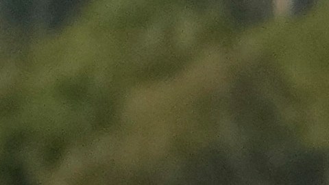 EE.UU. ha criticado la política de puertas abiertas que aplica el Gobierno de Daniel Ortega para facilitar la migración de forma irregular hacia su país.