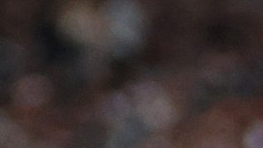 Anthony Joshua podría llegar a un acuerdo para la revancha contra Dubois.