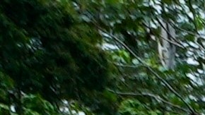 Los migrantes que se dirigen al norte llegan en barco a Lajas Blancas, provincia de Darién, Panamá.