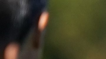 Martino sobre la recuperación Messi: "Va a llegar muy bien a los Playoffs"