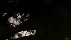 Dos marines de EE.UU. son atacados por grupo antiestadounidense en calle de Turquía