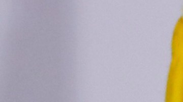 María Corina Machado se pronuncia tras salida de Edmundo González de Venezuela